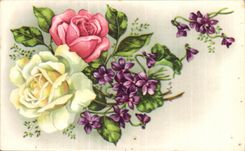 Flor de la fantasia de CPA