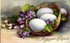 Flor de la fantasia de CPA