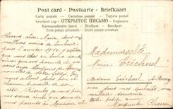 CPA Fantaisie Oiseaux Bonne annee