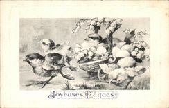 Easter Paques poussins