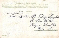 Tragos de las flores de la fantasia de CPA