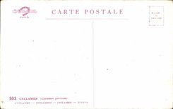 Flores de la fantasia de CPA