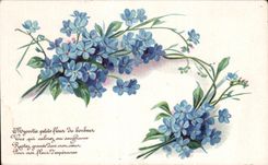 Flores de la fantasia de CPA