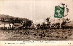 CPA Other Happiness (Ropsa Nevers-native Tilling