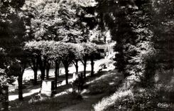 CPSM Bourbonne les bains (Hte-Marne) Un coin du Pare du Casino