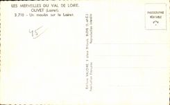 CPA Wonders Of the Loire Valley Olivet (Loiret)