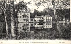 CPA Olivet the Restaurant Paul forest