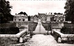 CPSM Ferte Saint Aubin View of the Castle