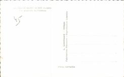 CPSM Ferte Saint Aubin View of the Castle