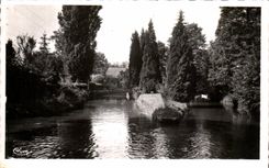 CPSM Meung on the Loire Mauves in the Marshes
