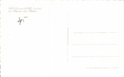 CPSM Meung on the Loire Mauves in the Marshes