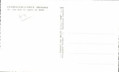 CPA Champagnac the Old man the wood of fir trees in winter