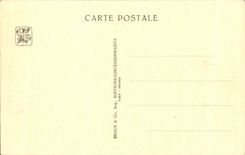 CPA Paris Exposition coloniale internationale 1931 Parc zoologiqueLa savane africaine Autruche 