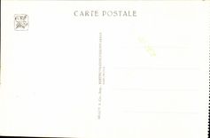 CPA Exposttion coloninale internationale paris le congo belge vue prise du portique des industries de luxe vens pavillon