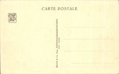 CPA Exposition Coloniale Internationale Paris 1931 Le Jardin Du Congo Belge Pavillon Des Transports