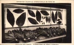 CPA Exposition Coloniale Internationale De pavillon des tabacs echantillons de tabacs coloniaux