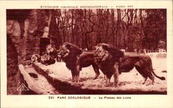 CPA - Exposition Coloniale Internationale - Paris 1931 Parc Zoologique Plateau des lions Zoo