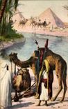 CPA North Africa Camel Camel Egypt Egypt Pyramid Pyramid