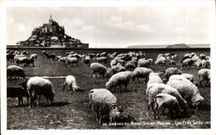 CPA Mont Sant Michel - Les Pres Sale Les greves