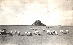 CPA Le mont st michel Pres sales sur les greves