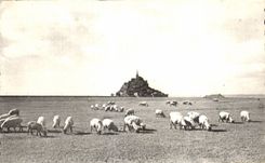 CPA Le mont st michel Pres sales sur les greves
