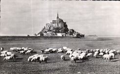 CPA Le celebres pres sales du mont saint michel 