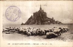 CPA Le mont saint michel Cote ouest west side Moutons Sheep