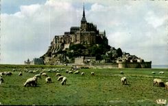 CPA Le mont saint michel et les pres sales Moutons Sheep