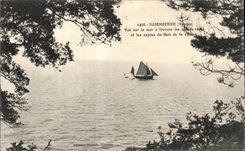 CPA Noirmoutier (Vendee) Vue Sur la Mer a travers les chanes