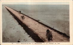 CPA Entre Beauvoir sur Mer et Noirmoutier Le passage de Goa 