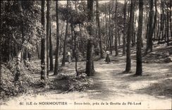 CPA Noirmoutier Sous bois pres de la grotte du pe lave