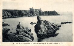 CPA Ile D Yeu Le cote Sauvage et le Vieux Chateau