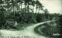 CPA La Tranche Sur Mer La foret La fontaine