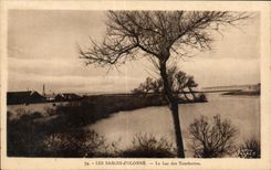 CPA sands Olonne the lake of the tanchettes