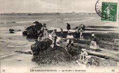 CPA sands Olonne the rocks has low tide