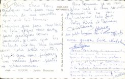 CPSM Lucon Jardin Dumaine