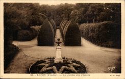 CPA Lucon le jardin des plantes