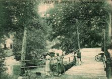 CPA Environs de fontenay le comte foret de mervent pierre brune