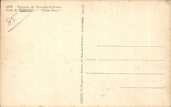 CPA Environs de fontenay le comte foret de mervent pierre brune