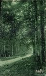 CPA foret de mervent