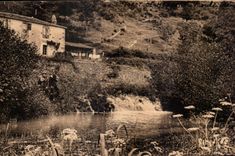 CPA Environs de fontenay le comte foret de mervent Le moulin neuf