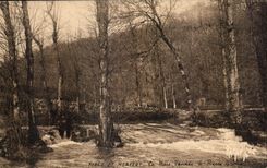 CPA Environs de fontenay le comle foret de mervent la mere vendee a parre brune