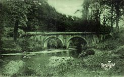 CPA Foret de vouvant mervent Pont de diet