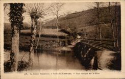 CPA La suisse vendeenne foret de mervent pont rustique sur la mere
