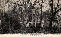 CPA La foret de mervent chaire de la grotte de montfort
