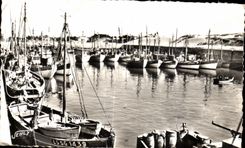 CPA Port de Croix de Vie (Vendee) Le Nouveau Bassin Bateaux