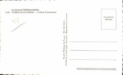 CPA Le Littoral Meditierraneen Hyeres les Palmiers l Hotel Continental