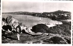 CPA Hyeres les Palmiers Var Presquile Hameau de la Madrague