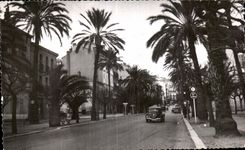 CPSM Hyeres les Palmiers Var Avenue Cambetta