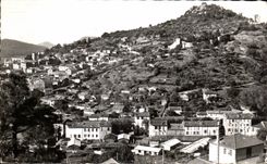CPA Hyeres les Palmiers Vue generale Au fond le Chateau